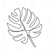 Nature label with exotic foliage. Continuous Line Monstera Leaf Tropical Leaves Contour Drawing Royalty Free Cliparts Vectors And Stock Illustration Image 141304526