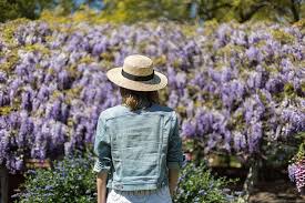 A Long Weekend At The Toowoomba Carnival Of Flowers Queensland