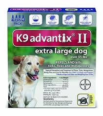 See more ideas about repellents, pests, pest control. 21 Best Flea Medicine For Dogs Ideas Flea And Tick Fleas Dogs