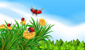 See only vectors or all resources. Flower Scenery Images Free Vectors Stock Photos Psd