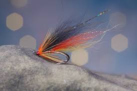 Learn everything about flies for fishing salmon. Learn To Tie Great Salmon Flies