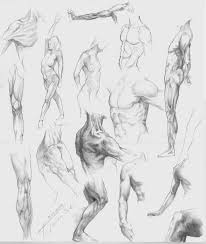 Studies Of The Human Body By Tomeko On Deviantart Sketches Tutorial Sketches Drawings