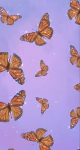 Purple butterfly wallpapers images categories : Pastel Purple Butterfly Wallpaper Aesthetic Novocom Top