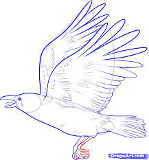 How To Draw A Crow Step By Step Birds Animals Free Online Drawing Tutorial Added By Dawn February 13 2011 2 05 42 Crows Drawing Guided Drawing Drawings