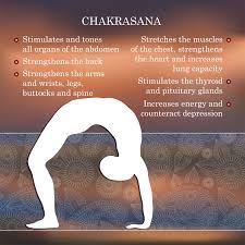 Pin On Yoga Wheel Benefits