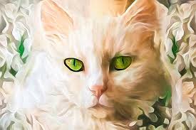 White Cat