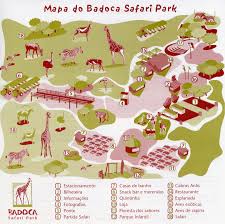 Check spelling or type a new query. Les Zoos Dans Le Monde Badoca Safari Park
