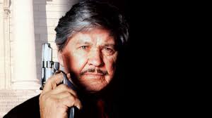 Death Wish V: The Face of Death (1994) directed by Allan A. Goldstein •  Reviews, film + cast • Letterboxd