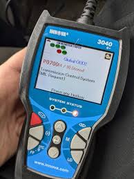 Image result for svrab na k%u016F%u017Ei