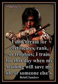 Pin By Azzy Jentite On Martial Arts Martial Arts Quotes Warrior Quotes Karate Quotes