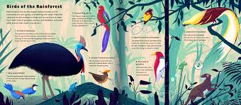 Birds of the world is a powerful resource that brings deep, scholarly content from four celebrated works of ornithology into a single platform where biologists and birders can find comprehensive life history information on birds. The World Of Birds On Behance