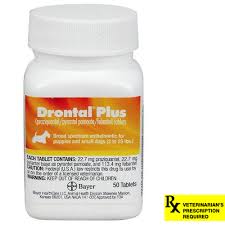 Drontal Plus Control Worms In Dogs Lambert Vet Supply