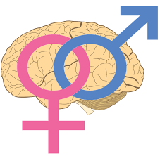 معنى كلمة continue to continue something is to keep doing it. What Is A Sapiosexual What Does It Mean Betterhelp