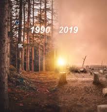 Nature Picsart Editing Background Cb Editz Cb Background Stock Download & share with your friends.