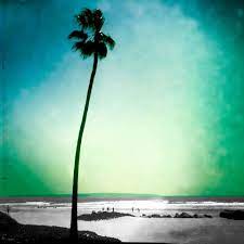 I received my ba in art at csulb and completed my mfa in graphic design at the academy of art in san francisco. Laura Cunningham Art Home Facebook