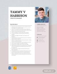 50 Modern Resume Templates Pdf Doc Psd Free Premium Templates