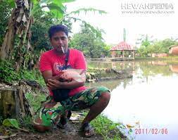 Cara mancing dan membuat umpan ikan nila yang efektif tokopedia blog. Teknik Mancing Ikan Nila Hewanpedia