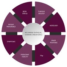 Early ovarian cancer causes minimal, nonspecific, or no symptoms. The Systemic Treatment Of Recurrent Ovarian Cancer Revisited Annals Of Oncology