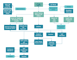 Example 5 Process Flowchart Qa Processes In Hsru This