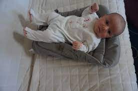 Ergo Infant Insert Pillow Cheap Online