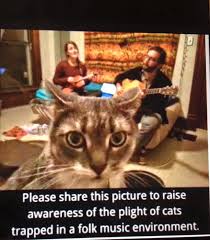 Raise Awareness Of Cats Trapped In Folk Music Environments Funny Cat Memes Cats Cat Memes