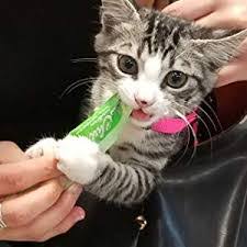 Find tasty, healthy cat treats in a variety of flavors and textures with added vitamins and minerals. Inaba Churu Cat Treats Ann Marie Hoff