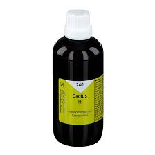 There are 323 buy cactus for sale on etsy, and they cost £6.70 on average. Cactus H 240 Tropfen 100 Ml Shop Apotheke Com