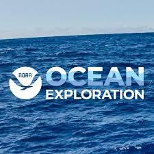 نتیجه جستجوی لغت [exploration] در گوگل