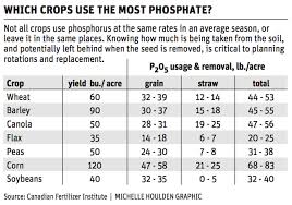 Image result for Phosphorus Replacement