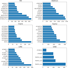 In più, con il nuovo servizio giga bank, si potranno utilizzare i giga non utilizzati della propria offerta, anche il mese successivo. Twenty Years Of Transposable Element Analysis In The Arabidopsis Thaliana Genome Mobile Dna Full Text