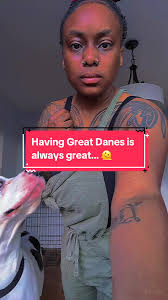 Girl with Great Dane Influencer