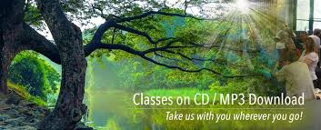 Zero the hero and the witch's spell 6. No Angels Daylight In Your Eyes Free Mp3 Download