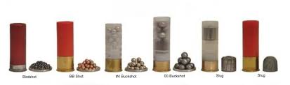 In addition to shot sizes, waterfowlers will also want to consider shotshell length as it can impact how much of a charge and payload of shot the hunter can send flying with each pull of the trigger. Shotgun Shells A High Level Overview Hiking Camping And Shooting