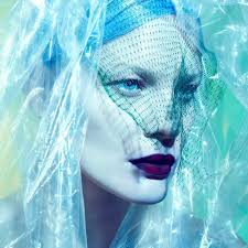 Cicci Feinstein Photography