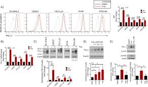 This usually means sending messages with no more than 100 characters, although it has now been extended to include. Regulation Of Pd L1 Expression Is A Novel Facet Of Cyclic Amp Mediated Immunosuppression Leukemia