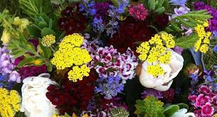 Allyson's flowers traverse city michigan family florist local delivery Northern Michigan U Pick Flower Farms Mynorth Com