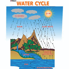 Chart No 183 Water Cycle