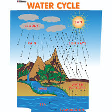 chart no 183 water cycle