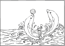 You can download and print your favorite images in a4 format for free. Free Printable Dolphin Coloring Pages For Kids