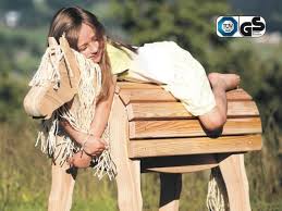 Holzpferd Tuev Gs Garten Zimmer Bayerwald Pony Klein Holzpony Voltigierpferd Wooden Rocking Horse Horses Scenes