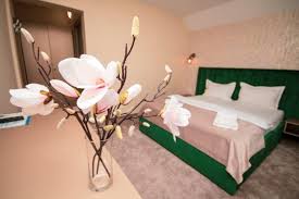 Semnificațiile sărbătorii, obiceiuri și superstiția legată de dansul ielelor. Rusalii 2021 In Cazanele DunÄƒrii Pensiunea Danubia EselniÅ£a