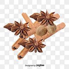 مجموعة من البهارات بهار يانسون نجمي شمر Png وملف Psd للتحميل مجانا In 2021 Happy Pumpkin Spice Season Pumpkin Spice Season Star Anise