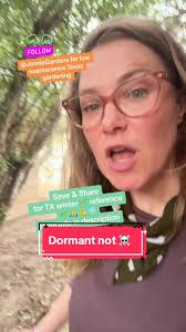 No New Growth Texas Am Growth