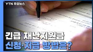 지역화폐 선불카드 및 상품권 : ì „ êµ­ë¯¼ì—ê²Œ ìž¬ë‚œì§€ì›ê¸ˆ ì§€ê¸‰ ì‹ ì²­ ë°©ë²•ì€ Ytn Youtube