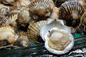 Scallop Facts What Is A Scallop How To Buy Scallops