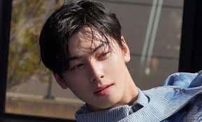 5 K-Dramas To Watch If You Love Cha Eun Woo