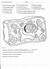 Download animal cell coloring answer key for free. Cells Coloring Worksheet Printable Worksheets And Activities For Teachers Parents Tutors And Homeschool Families