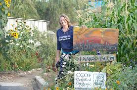 Native americans harvested the native grass seeds and used the leaves in basket weaving. Organic Urban Seed Farming San Diego Seed Company Joe Gardener