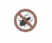 Bed bug pest control in alabama. Bug Be Gone Ltd Home Facebook