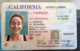 Snail Mail Feature The California Department Of Motor Vehicle Writes Me Back Real Id Graphic Design Jobs Drivers License